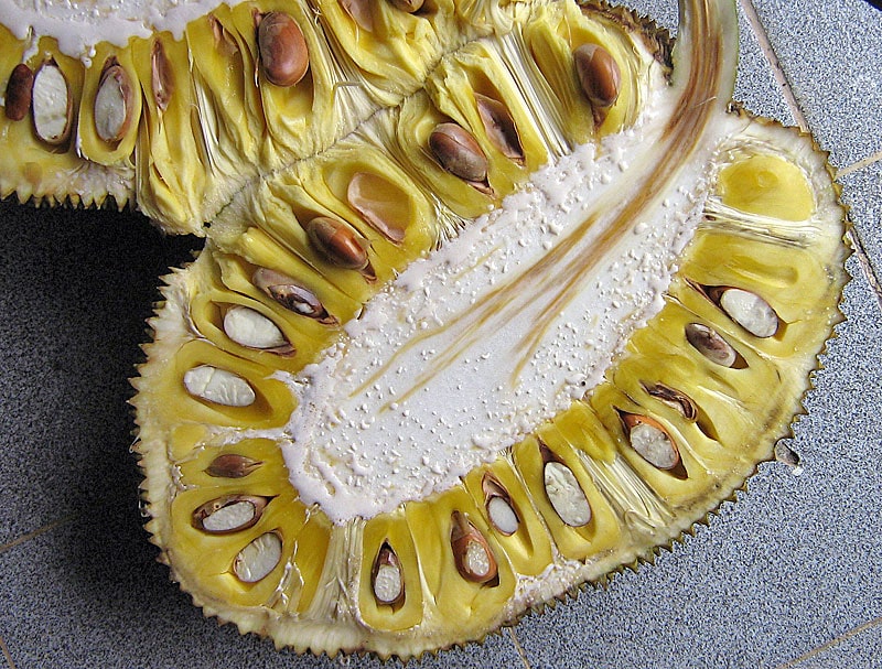 Jackfruit is the perfect meat substitute