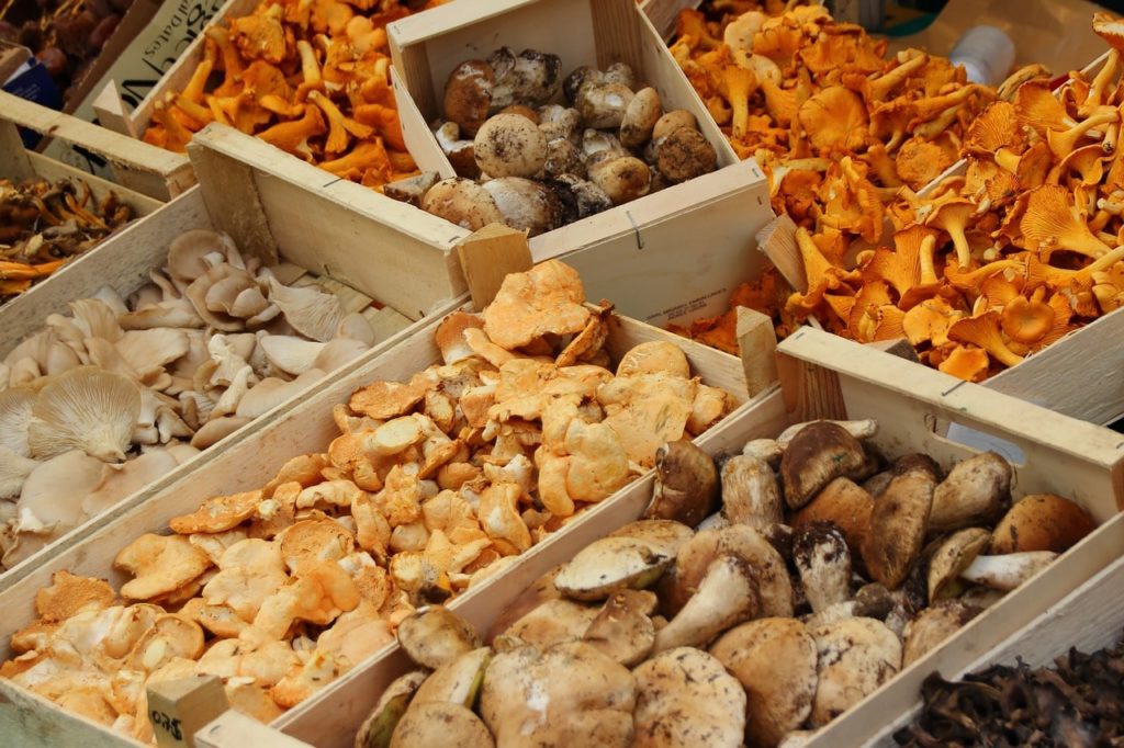 Mushrooms as meat substitute 